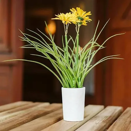 Bardot By Cardisuites Formigal